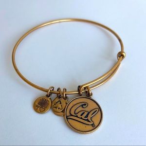 Alex & Ani bangle, gold